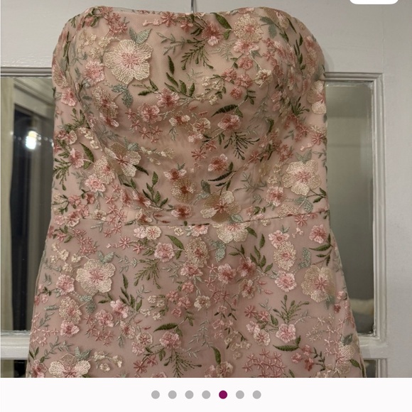 Jenny Yoo Blush Strapless Embroidered Dress - Picture 4 of 6